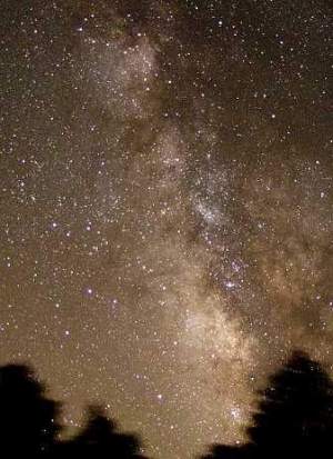 La Nuit Transfigur�e 
